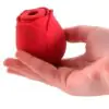 Succionador Rosa USB